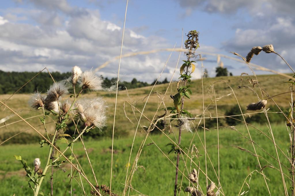 Agroturystyka Orzechowe Wzgorze Orzechowo  Exterior photo